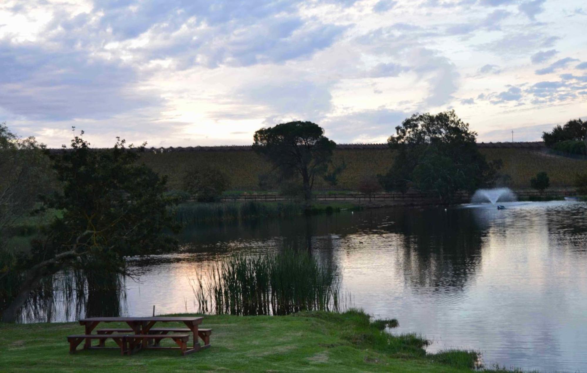 Under Oaks Guesthouse Paarl Pokój zdjęcie