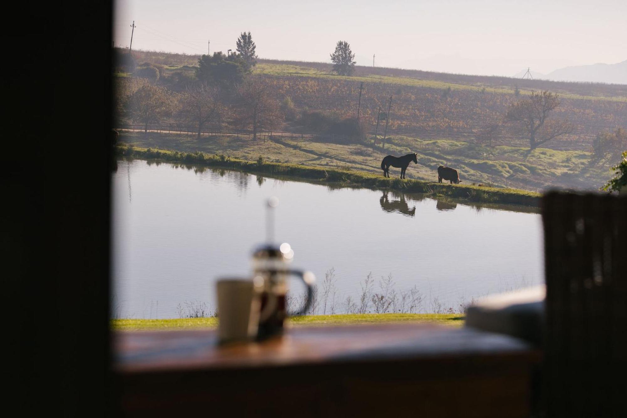 Under Oaks Guesthouse Paarl Zewnętrze zdjęcie