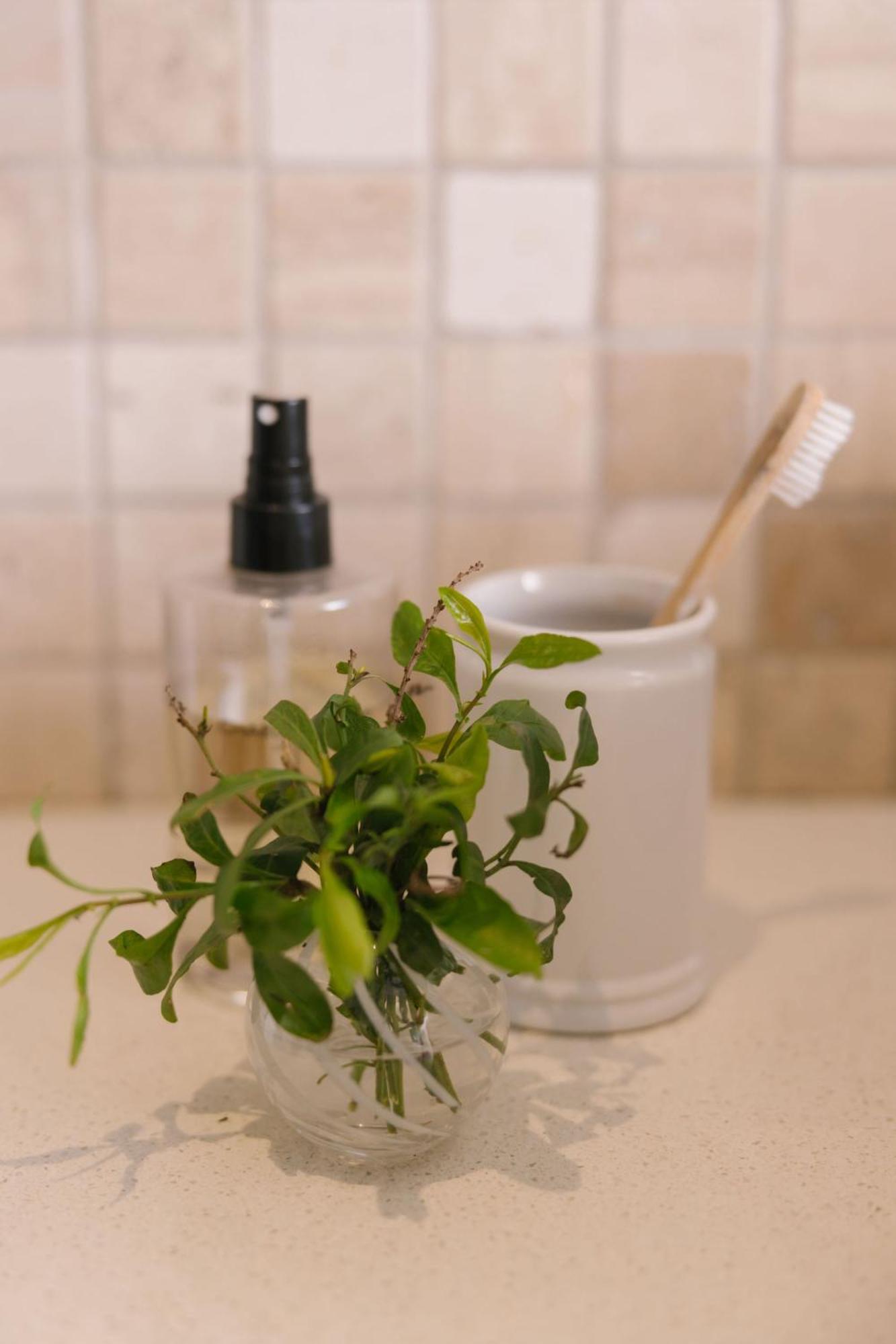 Under Oaks Guesthouse Paarl Zewnętrze zdjęcie
